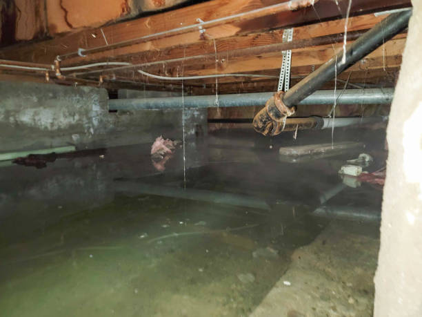 Best Flood restoration services  in Baywood, NY