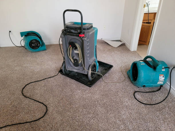 Best Fire Damage Restoration  in Baywood, NY