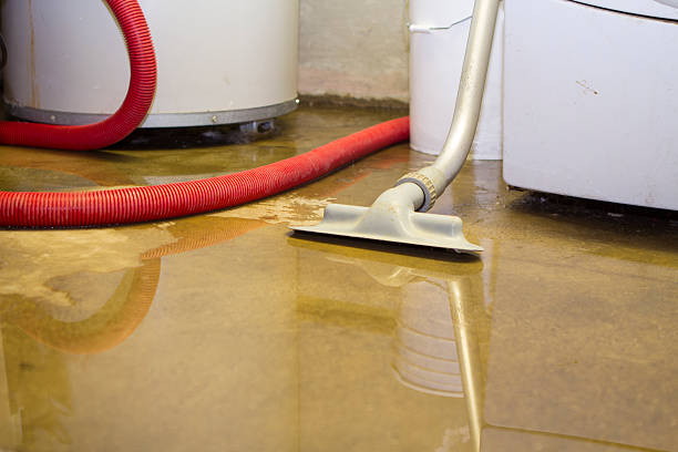 Best Flood damage cleanup  in Baywood, NY