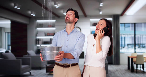 Best Basement water damage restoration  in Baywood, NY