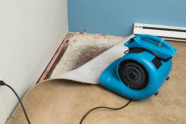 Best Commercial water damage restoration  in Baywood, NY